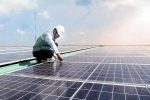 Những ‘điểm nhấn’ giúp điện mặt trời Đông Nam Á phát triển sôi động trong tương lai